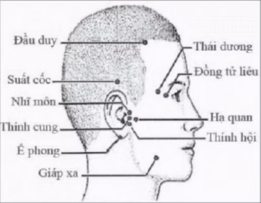 Vị trí các huyệt.