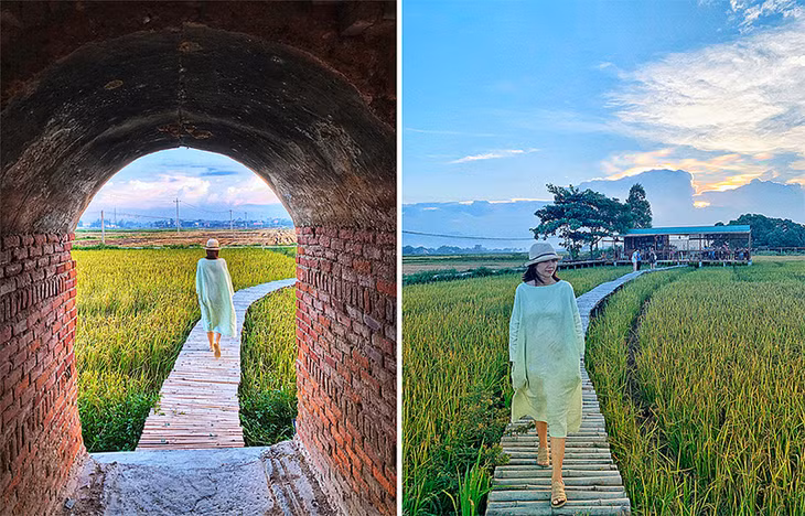 Từ lò gạch có một con đường tre uốn lượn chạy qua cánh đồng lúa nối tới quán cà phê Lò Gạch Cũ do một cặp đôi Thái Lan - Việt Nam thuê đất dựng nên. Ảnh: Nguyễn Hữu Phương Duyên