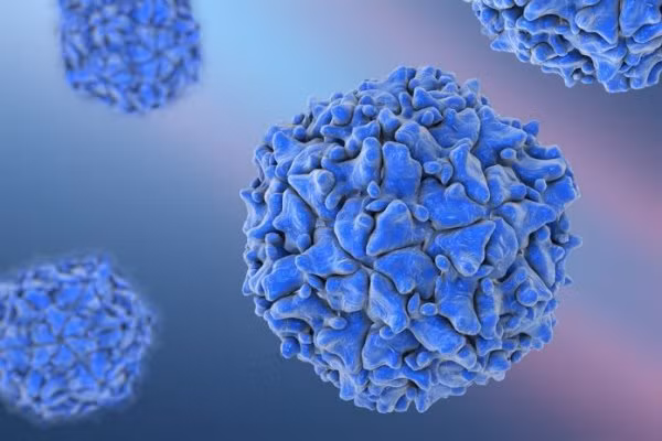 Virus Polio gây bệnh bại liệt.