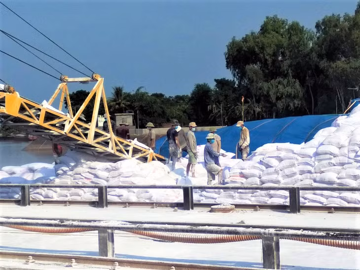 Bốc xếp hàng bột sắn tại cảng của Công ty CP Thành Đạt. Ảnh: Hữu Việt