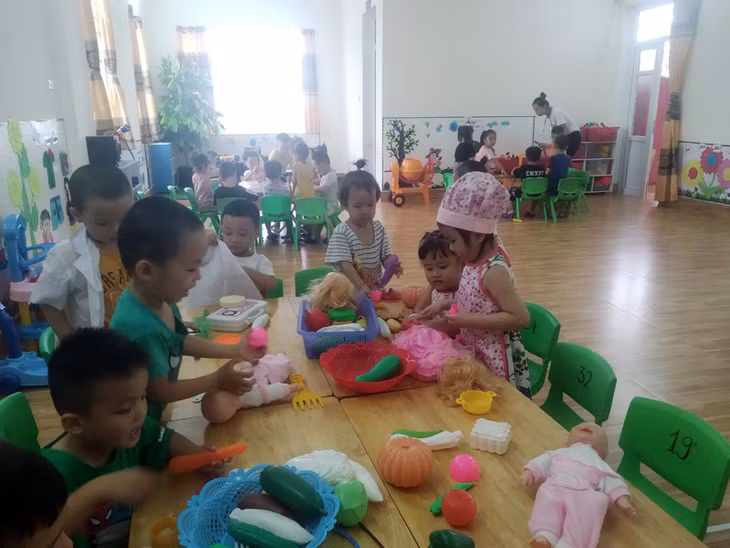 Năm học này, Trường Mầm non Ninh Dương 412 trẻ ra lớp với 3 nhóm trẻ và 13 lớp mẫu giáo.