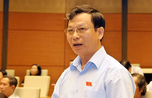 Đại biểu Bùi Mạnh Hùng.