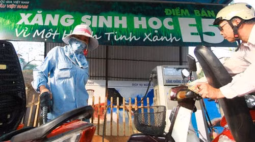 Thuế suất thuế tiêu thụ đặc biệt đối với xăng nhiên liệu sinh học sẽ được giảm thêm. Ảnh: internet.