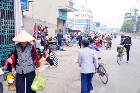 Chợ cóc 