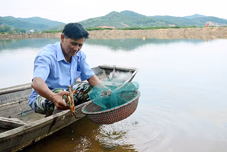 Mô hình nuôi thuỷ hải sản của CCB Vũ Thanh Thao, phường Đại Yên, TP Hạ Long.
