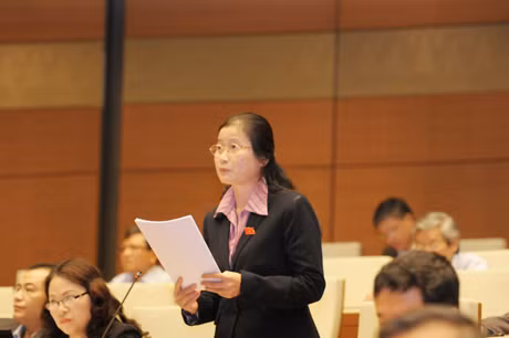 Đồng chí Đỗ Thị Hoàng, Phó Bí thư Thường trực Tỉnh ủy, Trưởng Đoàn ĐBQH tỉnh tham gia ý kiến tại phiên thảo luận tại hội trường sáng 24- 11.