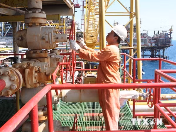 Giá xăng, dầu giảm tác động giảm CPI trong tháng 11. 