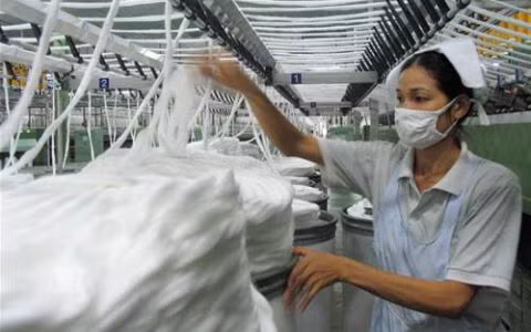 Nguyên liệu đầu vào trong nước chưa sản xuất được nên có thuế NK thấp. (Ảnh: KT)