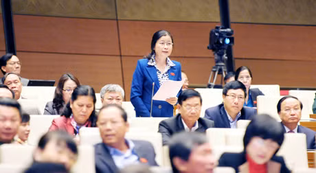 Trưởng Đoàn ĐBQH tỉnh Quảng Ninh Đỗ Thị Hoàng chất vấn Bộ trưởng Bộ LĐ,TB&XH.