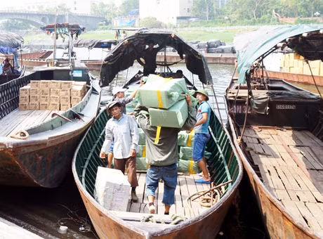 Số người làm nghề cửu vạn ở Móng Cái đã giảm già nửa so với vài ba năm trước, nhưng vẫn “người nhiều, việc ít...”.