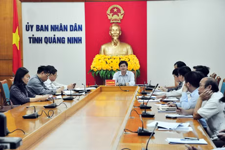 Đồng chí Lê Quang Tùng, Phó Chủ tịch UBND tỉnh phát biểu tại buổi làm việc.