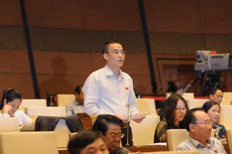 Đại biểu