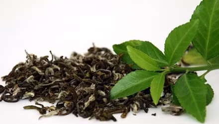 Những cách làm đẹp từ trà xanh.