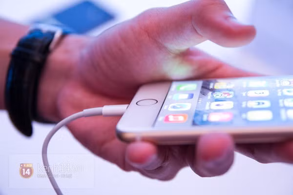 Hình ảnh iPhone 6 / 6 Plus trong lễ ra mắt chính thức tại Việt Nam hồi tuần trước. Ảnh: Thi Đoàn
