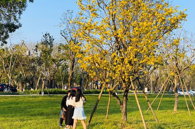 Các bạn trẻ vô cùng thích thú và hào hứng khi Huế lại có thêm một địa điểm 