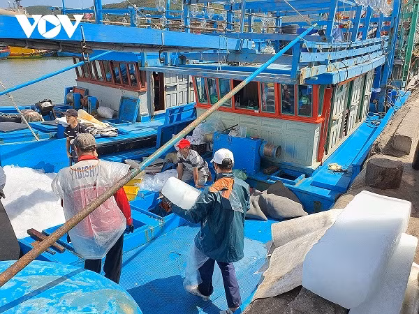 Lâu lắm rồi chuyến biển đầu năm lại hào hứng thế này.