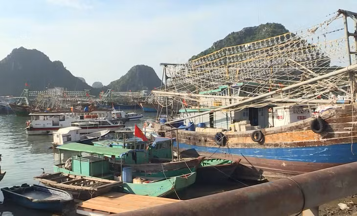 Các phương tiện thủy neo đậu tại Cảng Cái Rồng hiện rất chật chội.