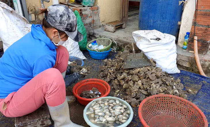 Rác từ các hoạt động nuôi trồng, khai thác, chế biến hải sản nếu không được xử lý đúng cách cũng sẽ dẫn đến nguy cơ ô nhiễm môi trường.