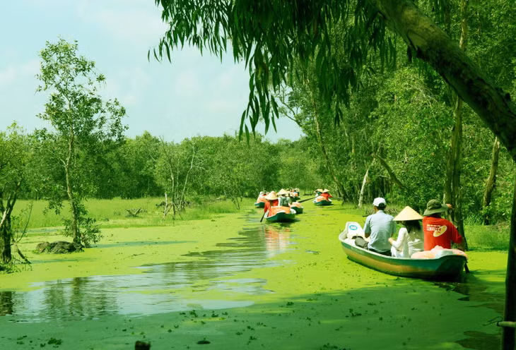Du khách tham quan rừng tràm Trà Sư vào mùa nước nổi. Ảnh: M.T/Báo Tin tức