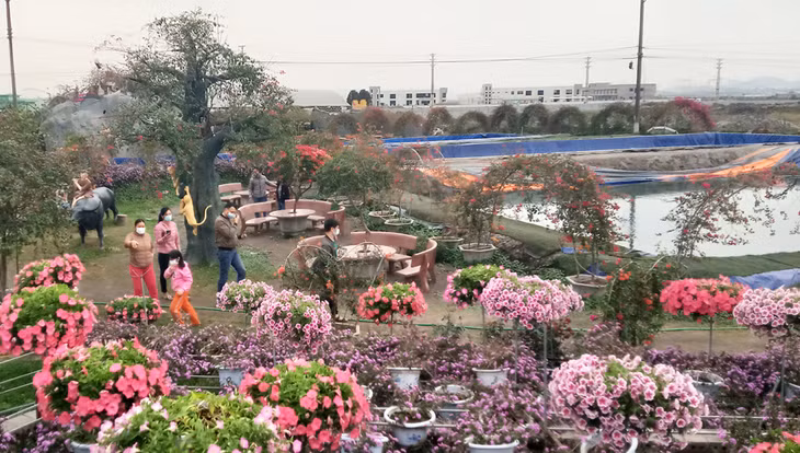 Du khách trải nghiệm tại Khu Du lịch Hoa Hạ Long.