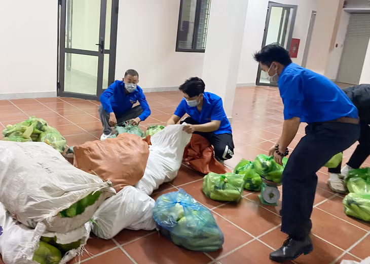 ĐVTN thành phố thực hiện phân loại, đóng gói từng túi ngô để giao hàng cho khách đặt mua.