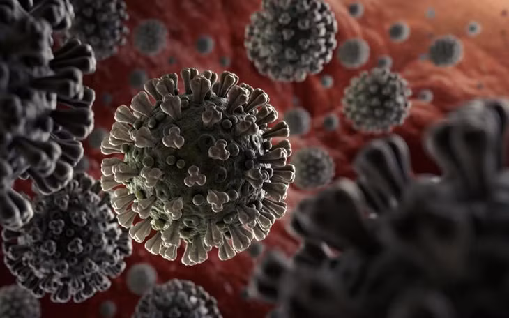Các gai protein bao quanh virus SARS-CoV-2. Ảnh: WHO.