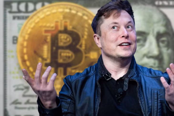 Chỉ với một bình luận trên Twitter, Elon Musk đã tự làm khó canh bạc 1,5 tỷ USD của Tesla. Ảnh: Getty Images.