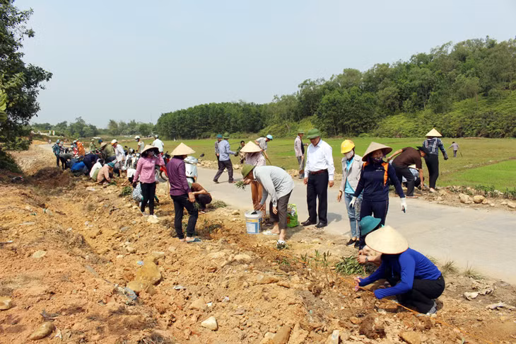 Người dân huyện Đầm Hà tròng hoa các tuyến đường liên xã, xây dựng NTM nâng cao.