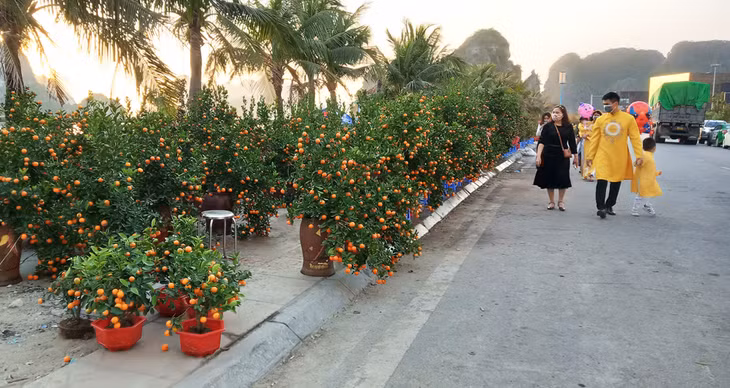 Một gia đình nhỏ mua sắm tại chợ hoa xuân Hạ Long.