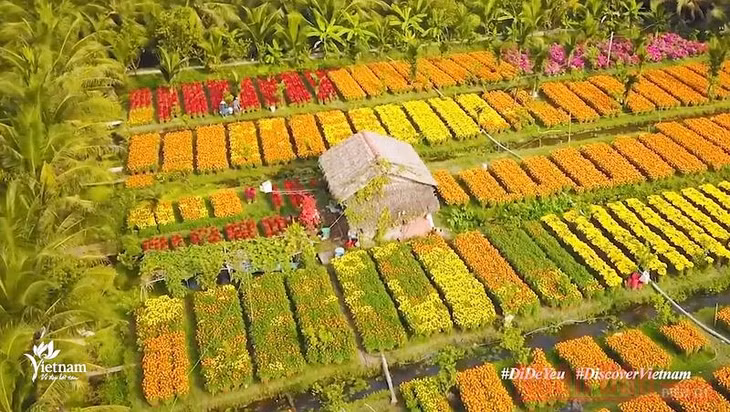 (Hình ảnh chụp từ clip)