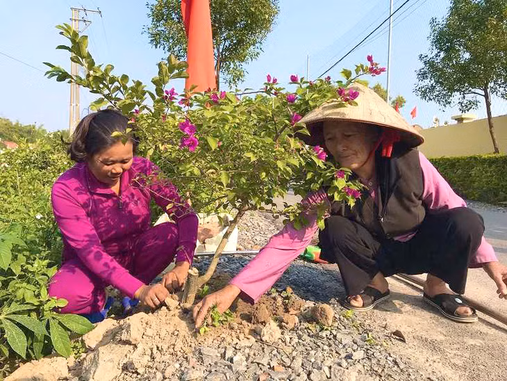 Người dân thôn 7 (xã Quảng Chính, huyện Hải Hà) tham gia dọn vệ sinh môi trường, trồng cây xanh bóng mát trên tuyến đường nông thôn mới. Ảnh: CTV