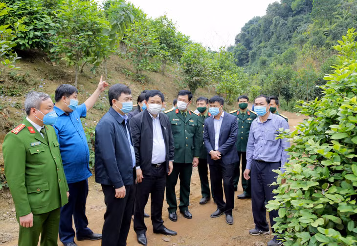Phó Bí thư Thường trực Tỉnh ủy Ngô Hoàng Ngân đến thăm mô hình trồng cây chè hoa vàng tại của gia đình ông Đàm Văn Cường, thôn Khe Lọng Ngoài, xã Thanh Sơn