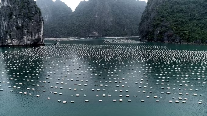 Nhiều người dân