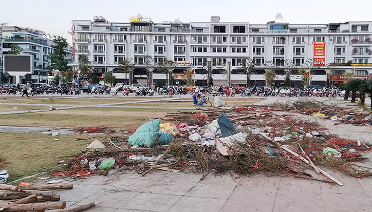 Cành đào hư hỏng