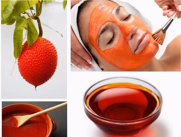 Ảnh minh họa. Đồ họa: Thúy Vi