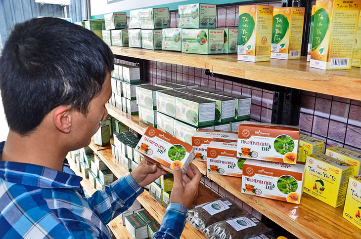 Trà Diệp hạ châu được bày bán tại cửa hàng OCOP BigC (TP Hạ Long).