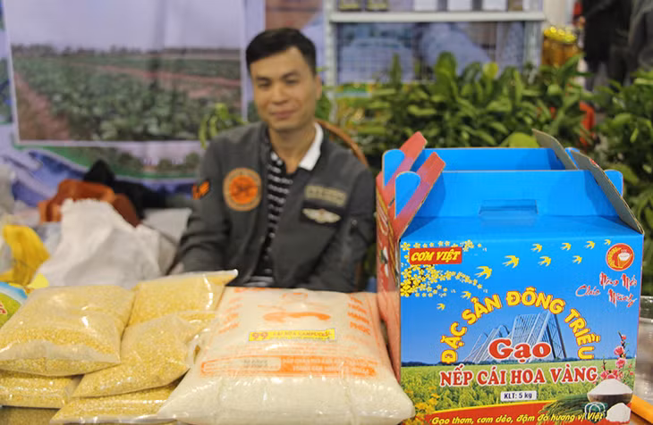 Gạo nếp cái hoa vàng của Đông Triều được nhiều người dân lựa chọn để gói bánh chưng hoặc đồ xôi trong dịp Tết.
