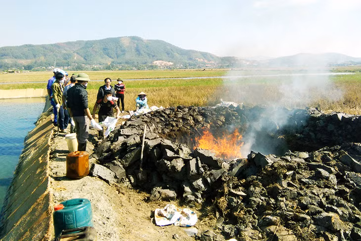 Các cơ quan chuyên môn tiến hành tiêu huỷ vịt bị dịch bệnh tại thôn 5, xã Sông Khoai, TX Quảng Yên.