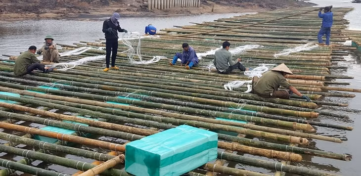 Với nguồn lợi mang lại lớn, người dân ngày càng đầu tư mở rộng các hoạt động NTTS, đặc biệt là nuôi nhuyễn thể