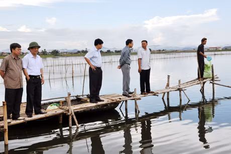 Các đồng chí lãnh đạo tỉnh, Ban Xây dựng Nông thôn mới huyện Tiên Yên kiểm tra mô hình nuôi trồng thủy sản ở thôn 4, xã Đồng Rui (Tiên Yên). Ảnh: HỮU VIỆT