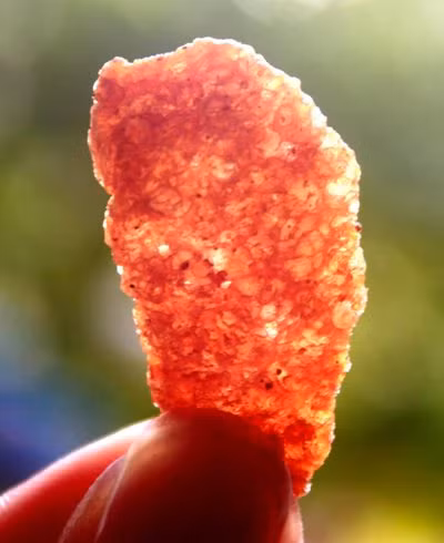  Miếng thịt hổ khô.