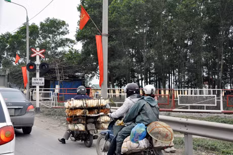 Việc quản lý vận chuyển gia súc, gia cầm trên địa bàn tỉnh lỏng lẻo là nguyên nhân quan trọng khiến dịch bệnh gia súc, gia cầm phát sinh gây hại.