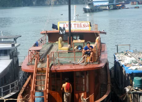Phương tiện vi phạm.