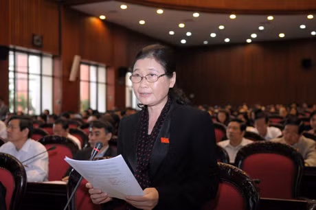 ĐB Đỗ Thị Hoàng, Phó Bí thư Thường trực Tỉnh uỷ, Trưởng đoàn ĐBQH tỉnh.
