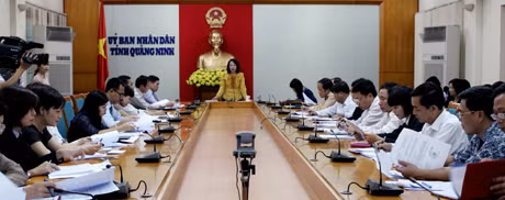 Đồng chí Vũ Thị Thu Thủy, Phó Chủ tịch UBND tỉnh phát biểu tại cuộc họp.