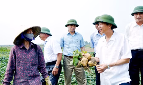 Đồng chí Nguyễn Văn Đọc, Chủ tịch UBND tỉnh và lãnh đạo Ban Xây dựng Nông thôn mới tỉnh trò chuyện với bà con nông dân thôn Quảng Mản, xã Bình Khê (Đông Triều) về mô hình trồng củ đậu. Ảnh: NGỌC LAN