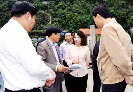 Đồng chí Vũ Thị Thu Thuỷ, Phó Chủ tịch UBND tỉnh kiểm tra công tác chuẩn bị cho Tuần Hạ Long 2012 tại hang Sửng Sốt.
