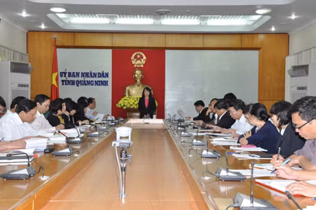 Đồng chí Vũ Thị Thu Thủy, Phó Chủ tịch UBND tỉnh phát biểu kết luận cuộc họp.