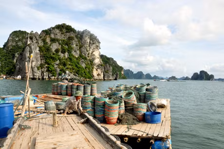 Những lồng nuôi tu hài của gia đình anh Bùi Văn Đông bỏ không, nằm ngổn ngang trên bè.