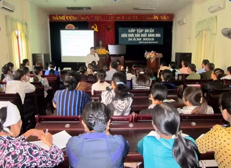 Để giúp người dân tiếp cận được các mô hình sản xuất kinh tế, thời gian qua, TP Cẩm Phả đã tổ chức nhiều lớp tập huấn triển khai mô hình sản xuất mới; nâng cao việc áp dụng KHKT cho người dân. 